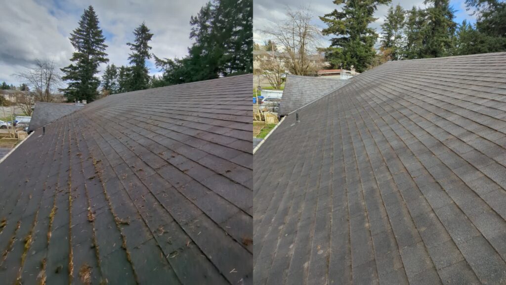 Before and After photo of this job. Before and after photo of Granite Ave, Abbotsford.