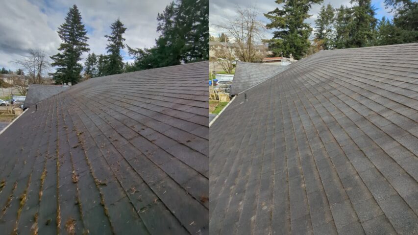 Before and After photo of this job. Before and after photo of Granite Ave, Abbotsford.