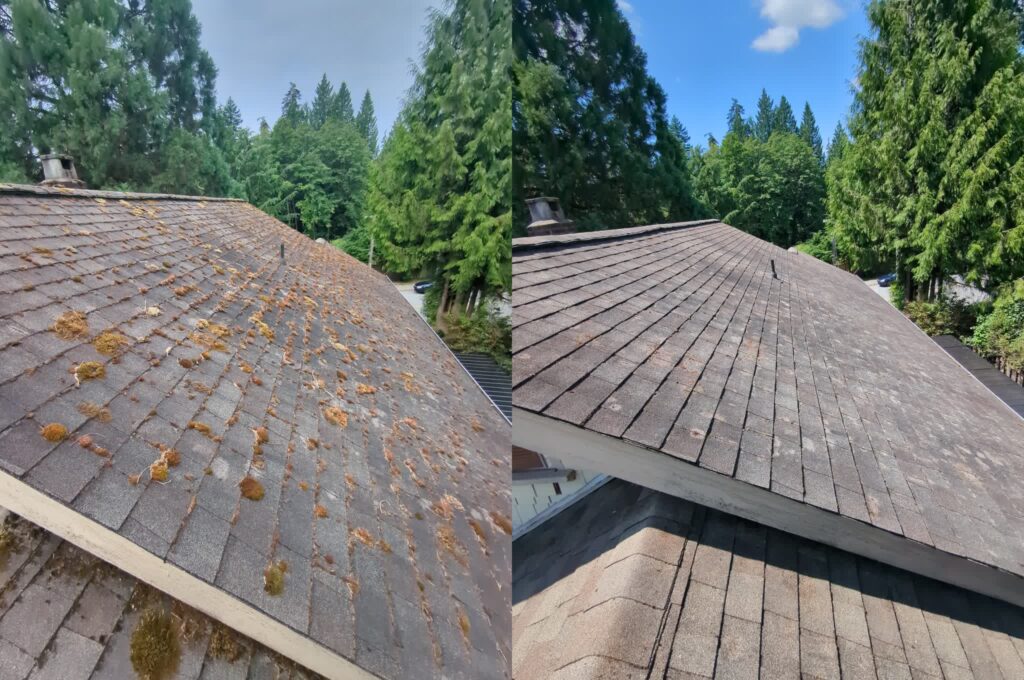 Before-After Pic
