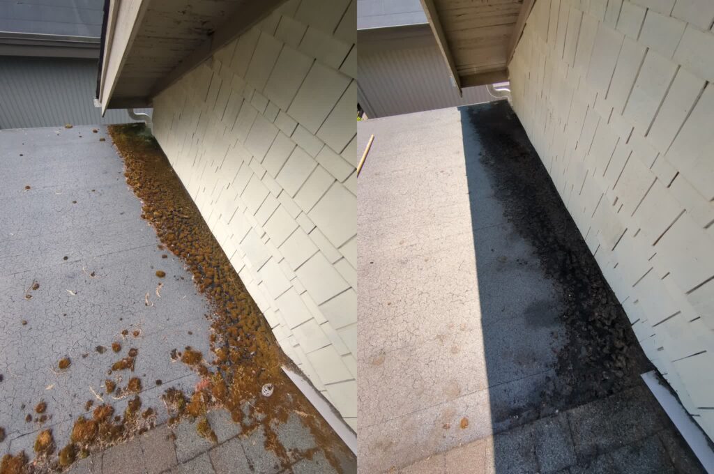 Before-After Pic