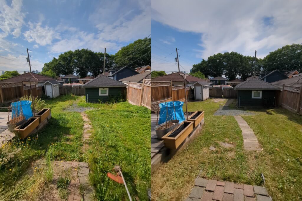 Lawn Care, Before and After