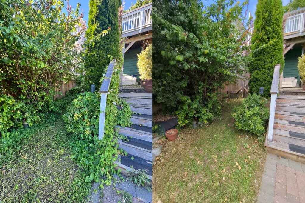Lawn Care, Before and After