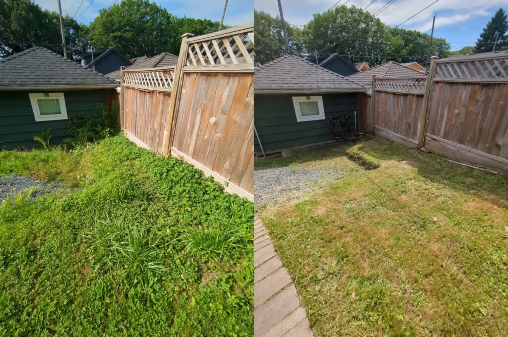 Lawn Care, Before and After