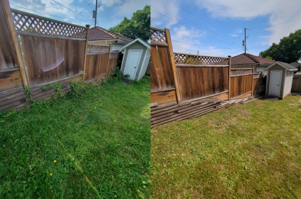 Lawn Care, Before and After