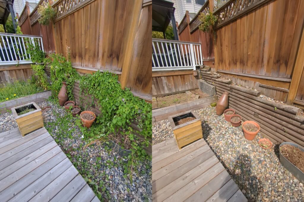 Lawn Care, Before and After