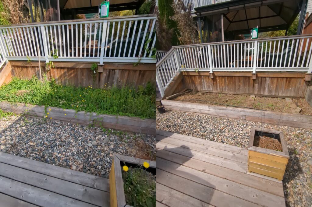 Lawn Care, Before and After