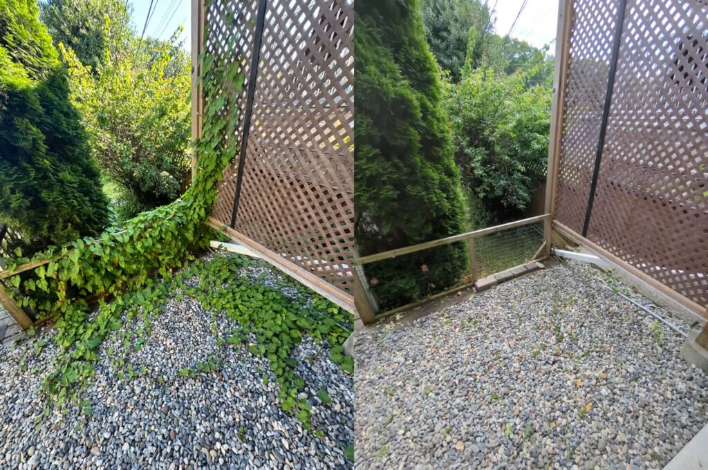 Lawn Care, Before and After