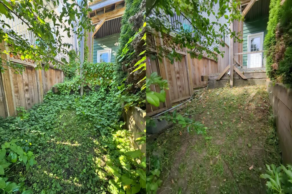Lawn Care, Before and After