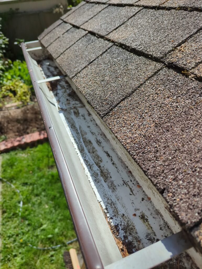 Clean Gutters