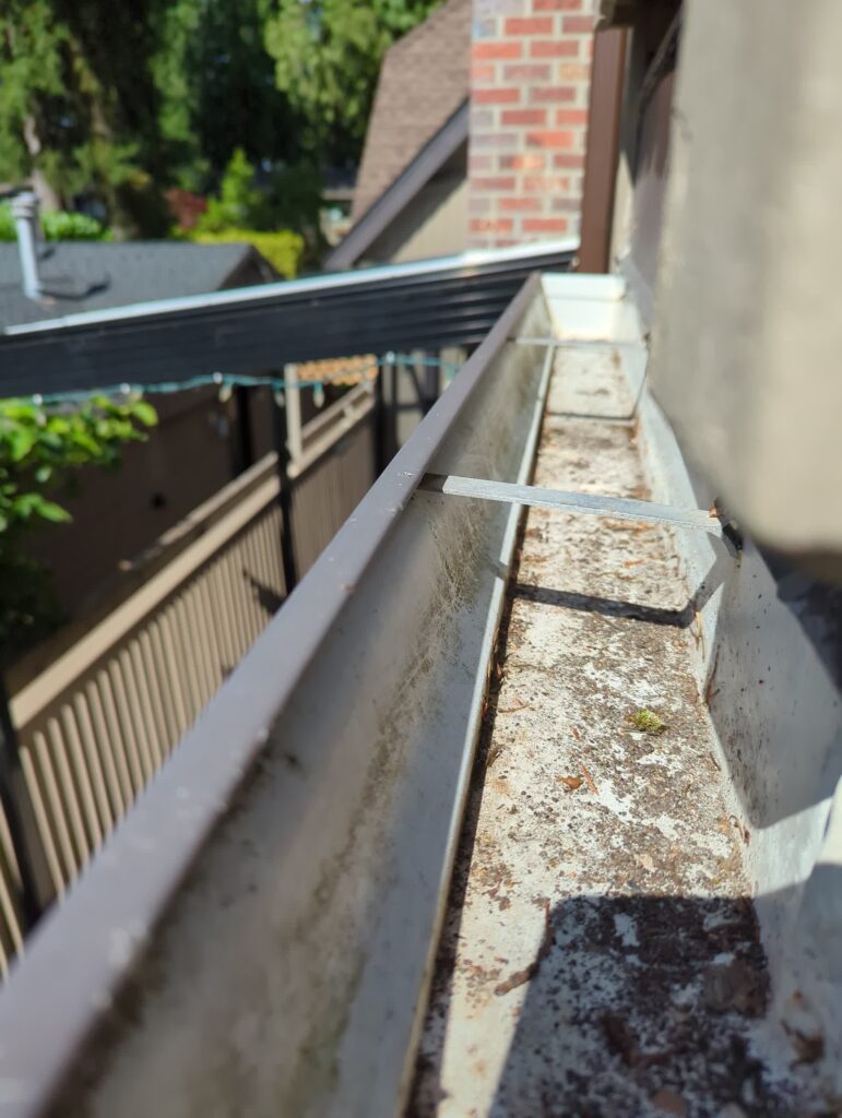 Clean Gutters